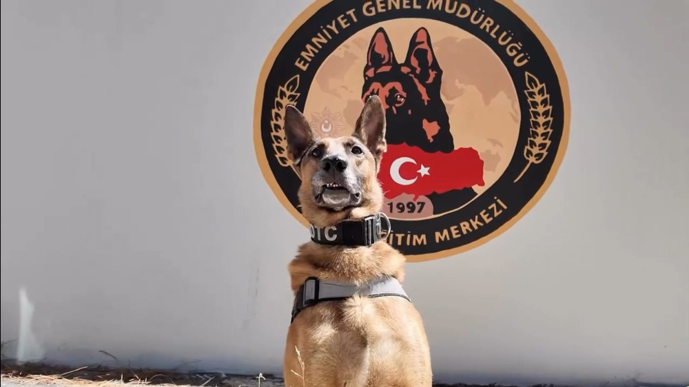 Narkotik köpeği ‘Pars’ emekliye ayrıldı