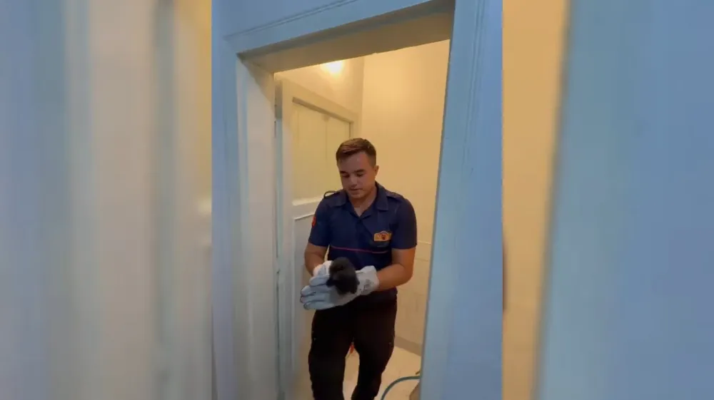 Osmaniye’de havalandırma boşluğuna düşen kedi kurtarıldı