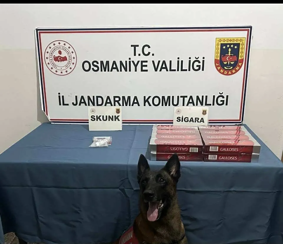 Osmaniye’de jandarma son bir haftada 114 şüpheliyi yakaladı