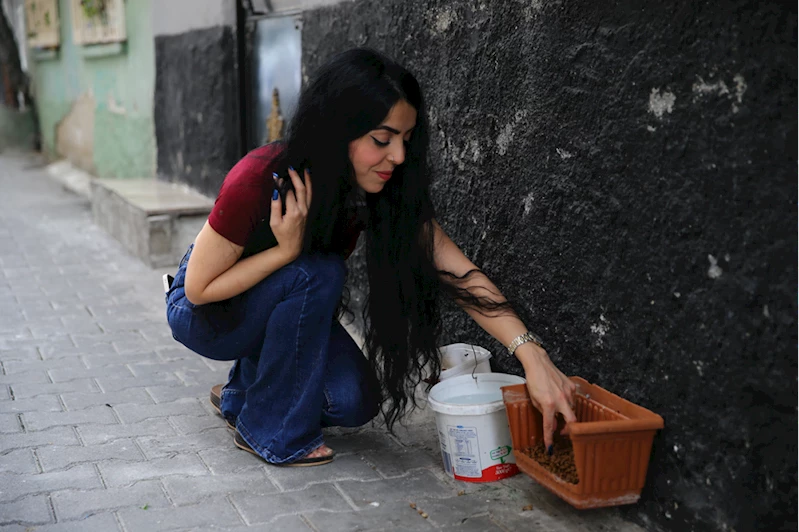 Adanalı hayvansever, evinin damını sahipsiz kediler için yuvaya dönüştürdü