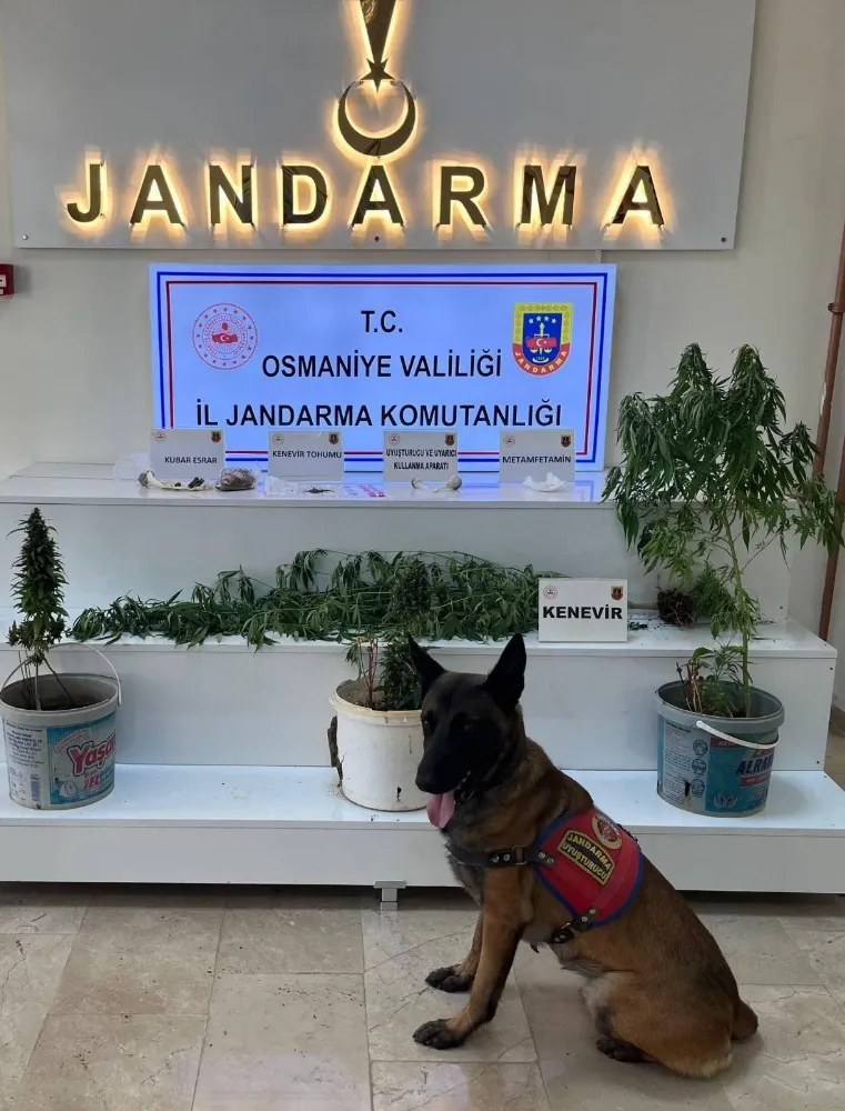 Osmaniye’de jandarma son bir haftada 124 şüpheliyi yakaladı