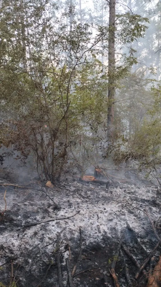 Osmaniye’de orman yangını büyümeden söndürüldü