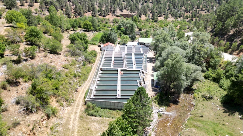 Antalya Spor ve Fitness Merkezleri