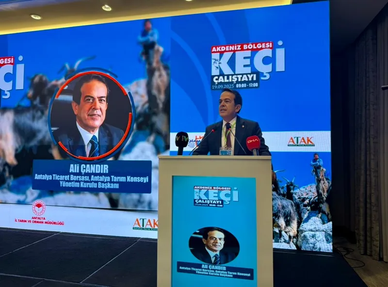 Akademisyenler ve üreticiler 