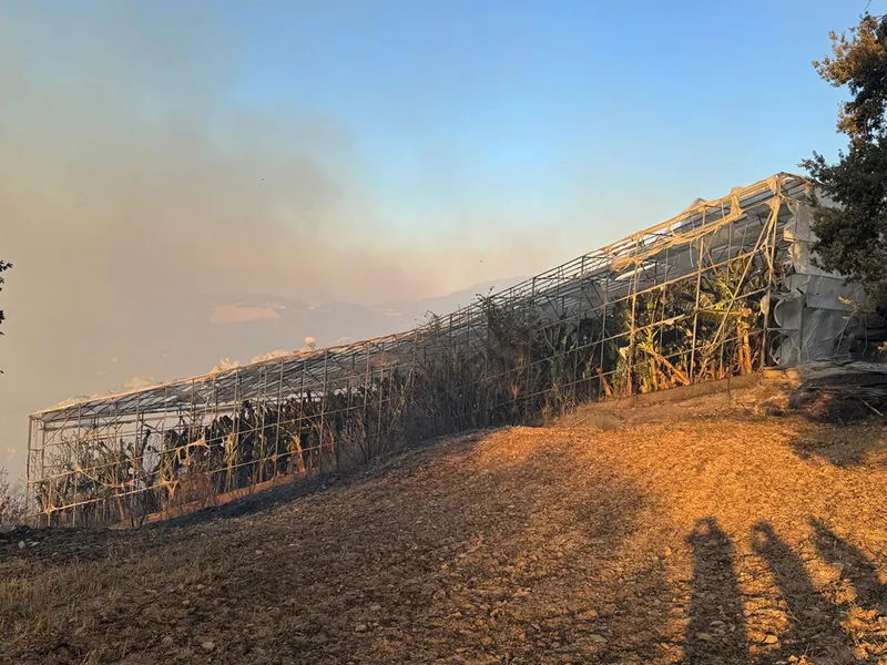 GÜNCELLEME 2 - Antalya