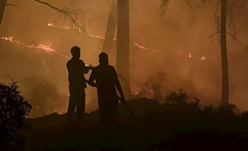 Kaş ilçesinde çıkan orman yangını söndürüldü