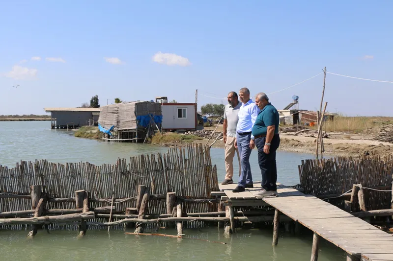 Adana Tarım ve Orman Müdürü Bayazıt, tarımsal üretim alanlarını gezdi
