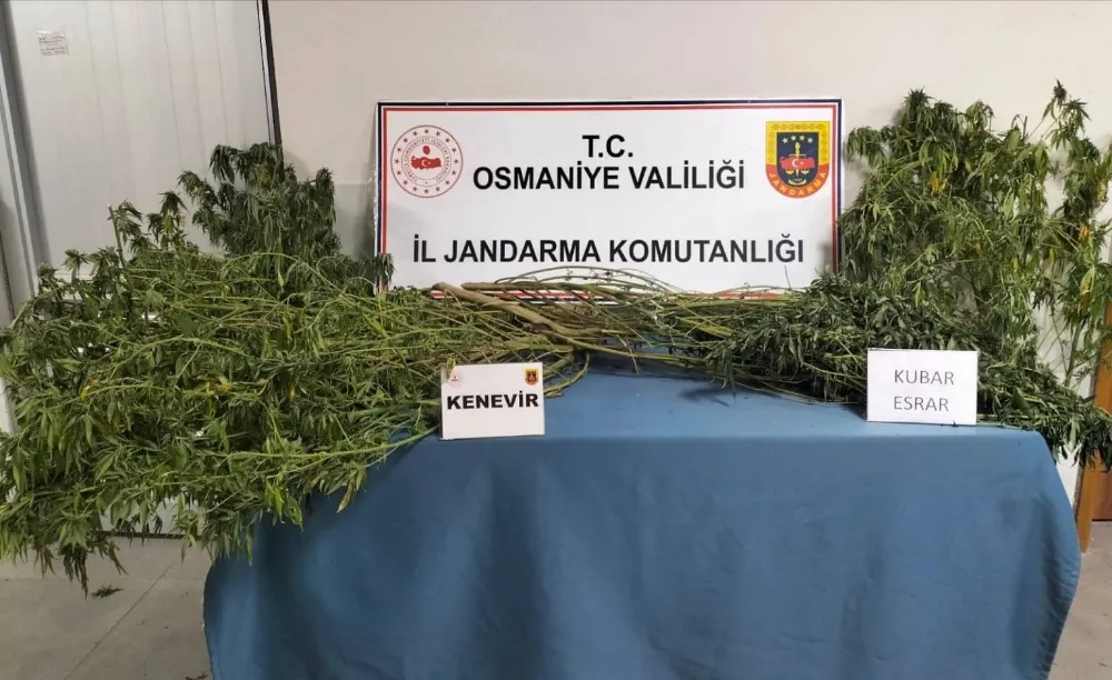 Osmaniye’de jandarma son bir haftada 126 şüpheliyi yakaladı