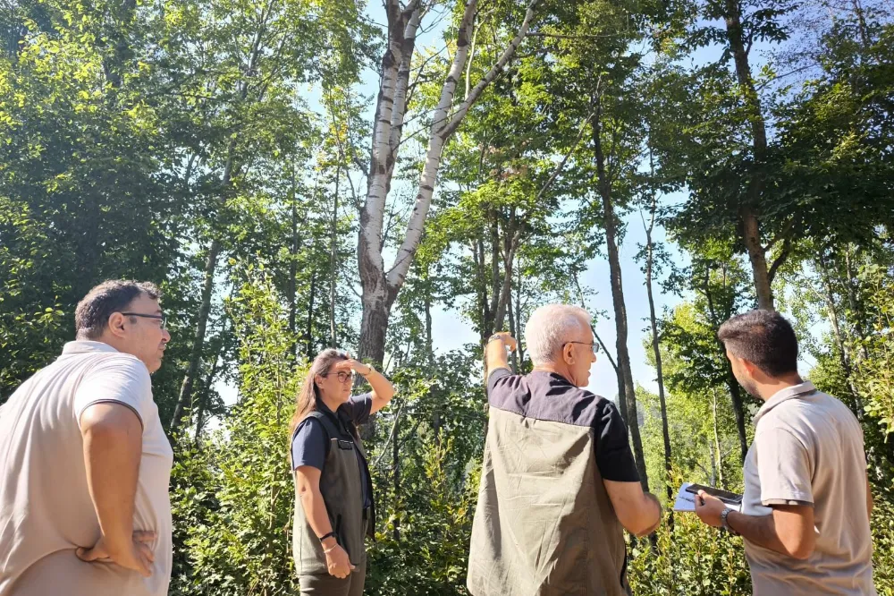 Osmaniye Orman İşletme Müdürlüğünde bakım damgası eğitimi