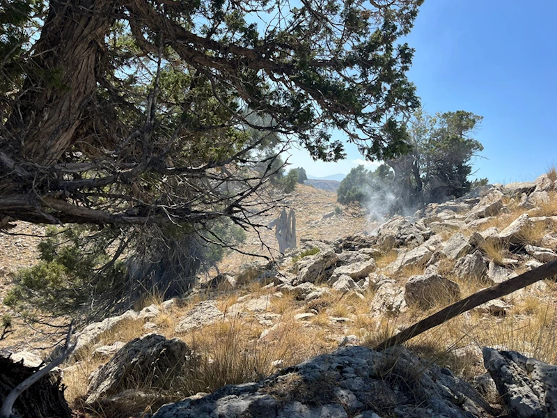 Altınyayla ilçesinde çalılık alanda yangın çıktı