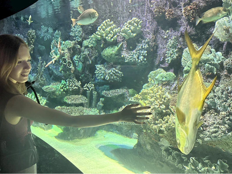 Antalya Akvaryum 28 bin balık varlığıyla yabancı turistlerin de rotasında