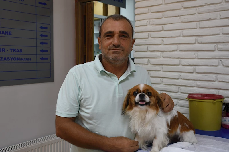 Araç çarpması nedeniyle yürüme güçlüğü çeken köpek, fizik tedaviyle sağlığına kavuştu