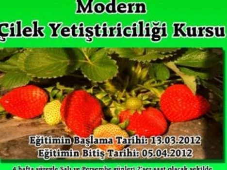 Okü`de Çilek ve Mantar Yetiştiriciliği Öğretilecek