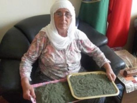 Tarımda Kendi Hesabına Çalışan Kadınlar Sigortalı Olacak