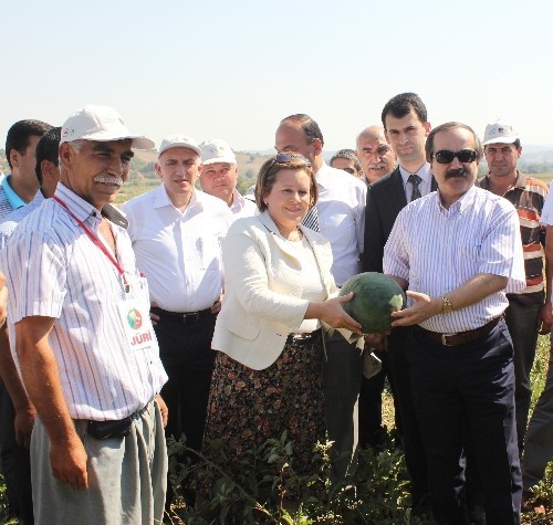 Adana karpuzuna ?şenlikli? tanıtım