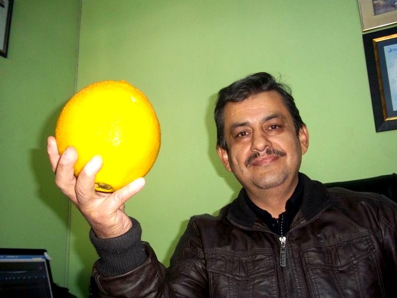 2 kilogramlık portakal görenleri hayretler içerisinde bırakıyor