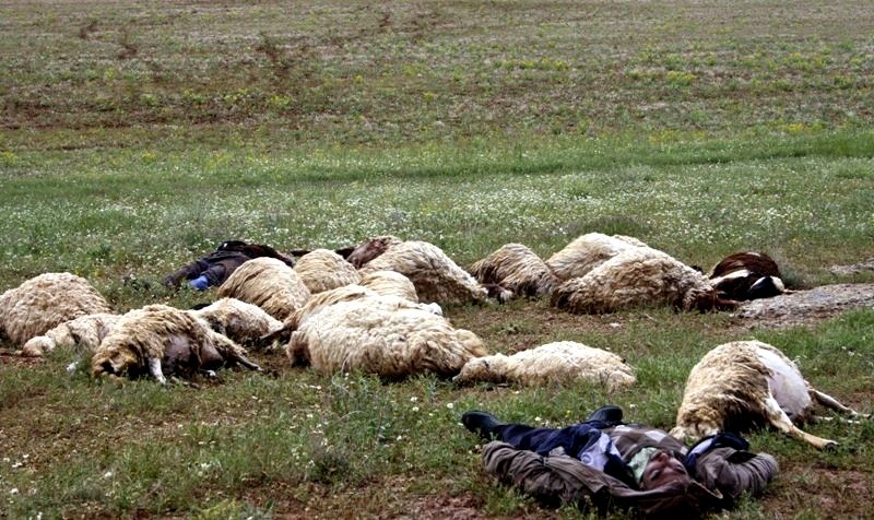Çobanların üzerine yıldırım düştü: 2 ölü, 2 yaralı
