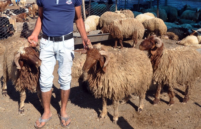 Kendisini gardiyan olarak tanıtıp, dolandırdı