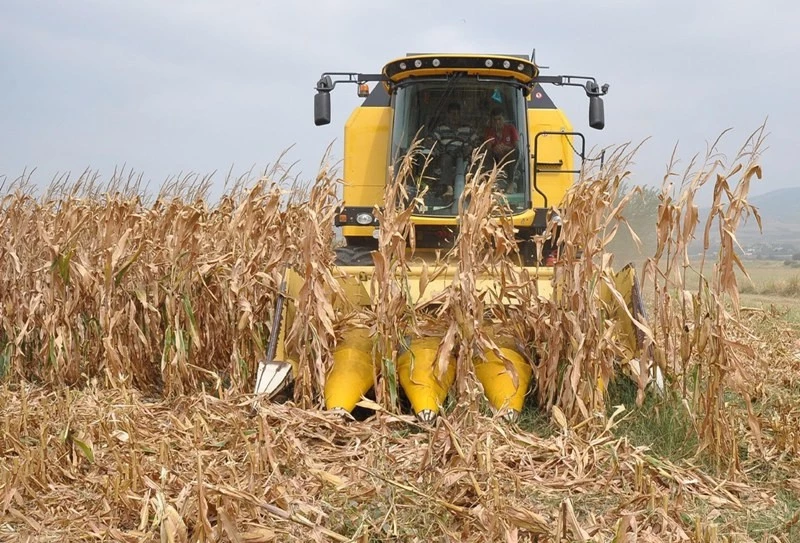 Biçerdöverle hasatta dikkat!