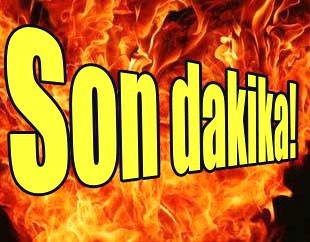 Balataları ısınan TIR`da yangın çıktı