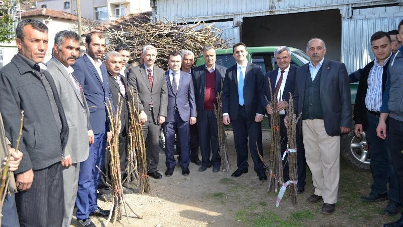 Üreticilere Halep incir çeliği dağıtıldı