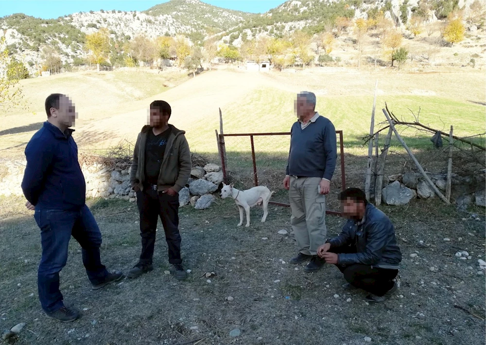 Kadirli`de oklu kirpi avına 6 bin 164 lira ceza