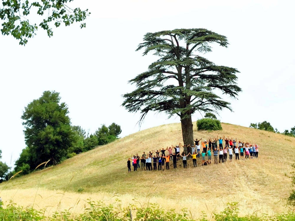 Değirmendere Şelalesine Doğa Yürüyüşü