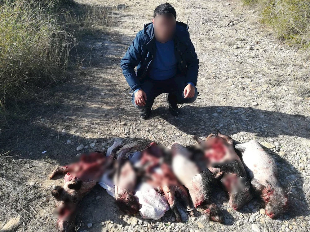 Oklu Kirpi Avına 11 bin lira ceza