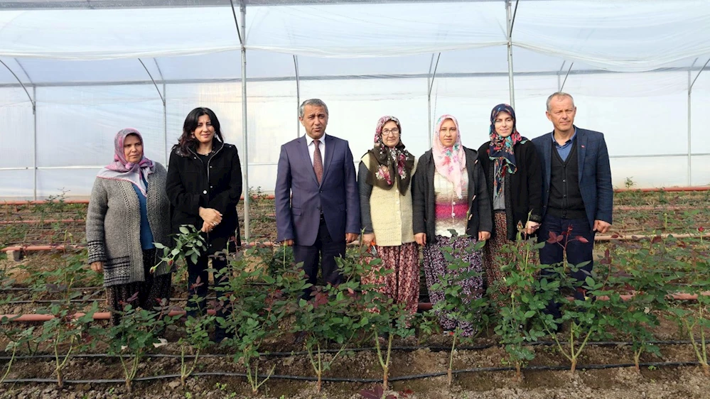 Kadın çiftçilerin gül seralarında üretime başlandı