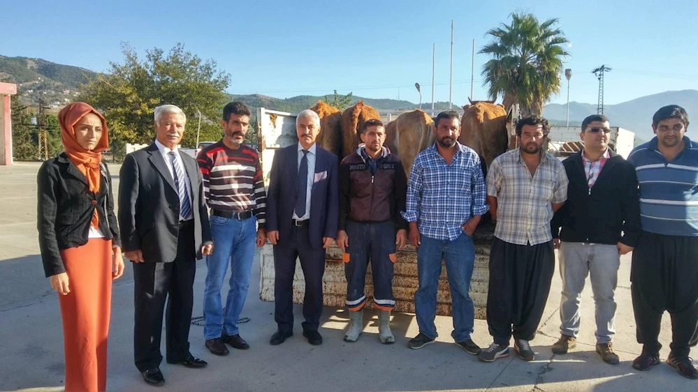 Genç çiftçilere, damızlık sığır ve arılı kovan dağıtıldı