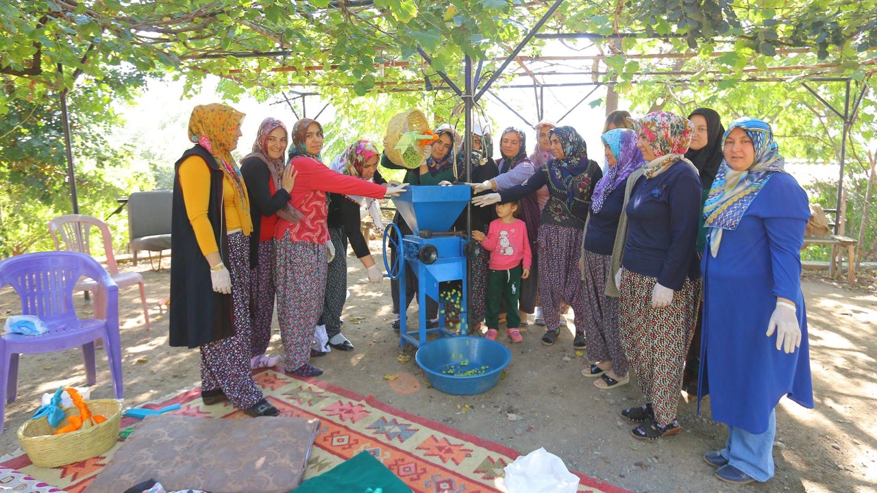 Osmaniye`de `Ev tipi sofralık zeytin işleme` kursu